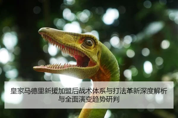 皇家马德里新援加盟后战术体系与打法革新深度解析与全面演变趋势研判